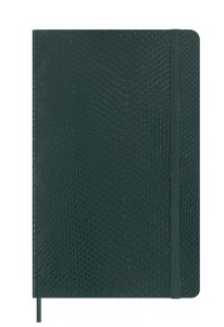 Блокнот Moleskine LE PRECIOUS & ETHICAL Large в зеленом цвете