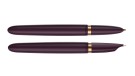 Перьевая ручка Parker 51 Premium Plum GT