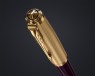 Перьевая ручка Parker 51 Premium Plum GT